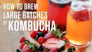 How to Make Kombucha in Large Batches to Serve on Draft