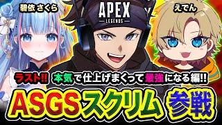 【APEXスクリム】ラストや！最強になろッ！ASGS大会本番で１位を獲るために本気で仕上げるゾ編ww  碧依さくら, えでん【ハセシン】Apex Legends