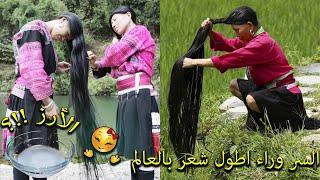 The fermented rice recipe that used in Huangluo Village, China,  the longest hair in the world