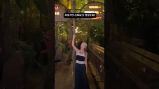 (여자 공감) 캐리어 : 살려줘 !! #발리여행 #lookbook