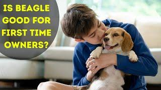 Is a beagle a good house dog