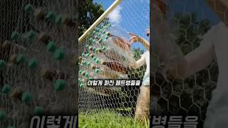 버려진 페트병으로 만든 DIY 끝판왕
