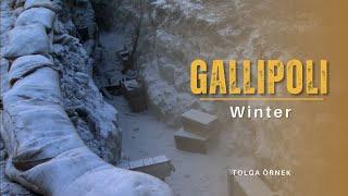 Winter I Gallipoli