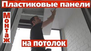 Пластиковые панели ПВХ на потолок монтаж