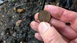 Luck in the Muck or just a Look in the Brook