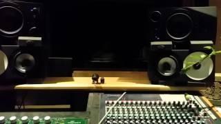 Amphion one15 vs adam a7