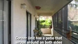 Carrollwood Condo for Lease