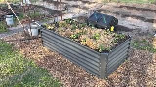 An Easy to Assemble Raised Garden Bed You Can Buy on Amazon -  Best Choice Products