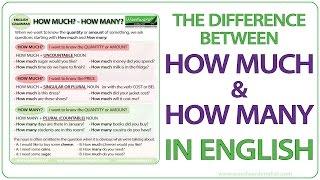 How much? How many? | What is the difference? | Learn English Grammar | ESOL lesson