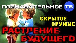 Скрытое оружие: Растление будущего (Познавательное ТВ, Михаил Величко)