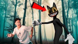 IF YOU SEE A CARTOON CAT IN THE FOREST, HIDE THE MONSTER CAT FATIH CAN AYTAN