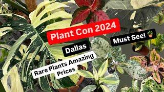 Plant Con 2024 Dallas Rare Plants Variegated Plants Big Box Store Plant Shopping Alternative