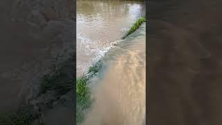 Flood In Shankar Nagar || #shorts #trending #viral #flood