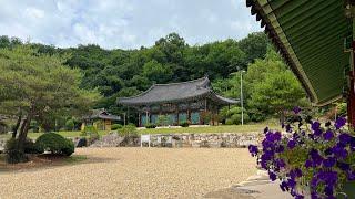 예천 한천사 | 감천면 증거리 열부각