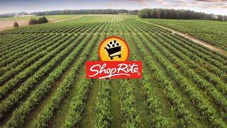 ShopRite Blueberries: Farm Fresh to You | ShopRite Grocery Stores