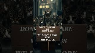 The Cat Revolution Has Begun #cat #cats
