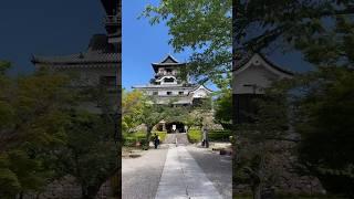 【愛知県　犬山市】国宝犬山城　木曽川 #shorts #風景 #景色 #inuyama #castle #japan
