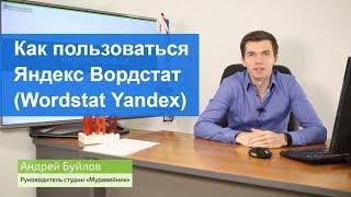 Как пользоваться Яндекс Вордстат (Wordstat Yandex)