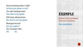 Bisaya 247 Lesson 6 - How To Say Yes or No, Understand the Difference Between Dili, Wala, Ayaw