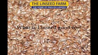 What is linseed (flaxseed) good for?