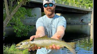 Using Live Bait to Catch Big Salmon and Bass | Maine Dam Spillway Fishing