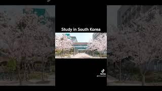 Study in South Korea  #gist