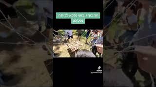 תחנת המבוך- "דניאל חסיד פרויקטים בחינוך"