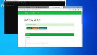 QZ Tray - Print Server - Windows