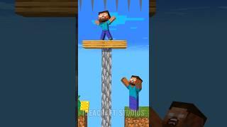 Who is The Best Father - Rich Noob or Poor Herobrine