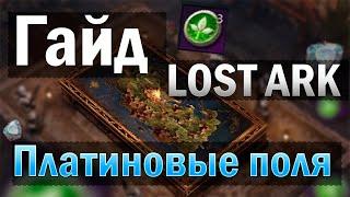 Гайд|Lost Ark|Платиновые поля в Лост Арк