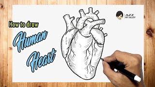 How to draw Human Heart