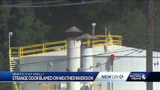 Strong odor reported in Pittsburgh area reportedly coming from chemical company on Neville Island