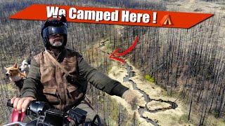 ATV Wild Camp Adventure: Overnight in a Burned Forest with My Dogs 