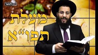 תפוח אדמה - מעלות סגולות וטיפים | מסלק מחלות | מדור בריאות | הרב רביד נגר