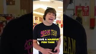Uncovering the MindBlowing Fish Tank in Colorados Largest Store #SHORTS #matthew #trendify