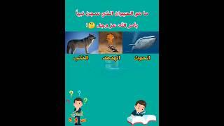 ما هو الحيوان الذي سجن نبياً ؟ #الغاز #ytshorts #سؤال_وجواب #اسئلة_دينية_عن_الانبياء