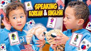 Testing My Bilingual Toddlers' Language Skills / Korean & English Flash Cards