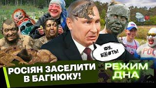 ЭТО НАДО ВИДЕТЬ! ЭСТОНЦЫ унизили Путина. Россиянам ЗАПРЕТИЛИ ходить в ТУАЛЕТ и заселили в БОЛОТО