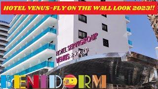 Benidorm's HOTEL VENUS - A FLY ON THE WALL LOOK!️  A Popular Servigroup 3-Star! #benidorm