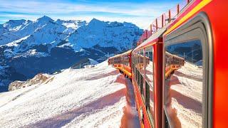 Scenic Train Grindelwald Switzerland Jungfrau region - summer & winter