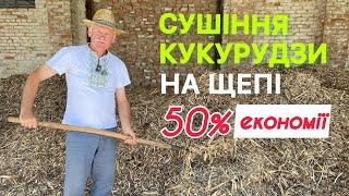 Сушіння кукурудзи з використанням щепи