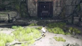 The Last Guardian framerate reduced to a crawl