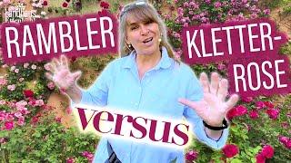 Ramblerrose VS. Kletterrose - ? - Erfahren Sie, WELCHE Rose SCHÖNER wirkt..! (+) Rückschnitt-TiPPs