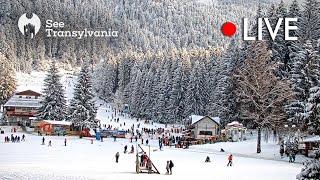 Ka-Ma Sport  Poiana Brasov Live Webcam - Partia Bradul