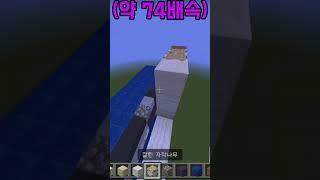 [신언심 생일기념] 거대화된 신언심스킨 집 만들기!
