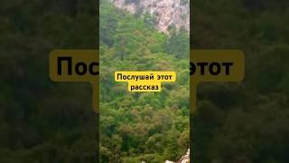 Послушай эту историю #ислам #религия