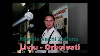 Cele mai ascultate manele vechi la Zahana 2008-Liviu de la Orboiesti live-Si cu buzunaru gol