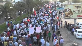 Tens of Thousands Rejecting The Regime's Constitutional Reforms