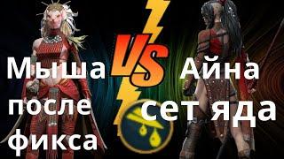 Raid Shadow Legends Фейн vs Айна, сет яда после апа, анкил