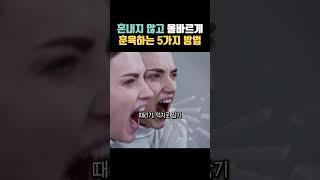 고양이를 혼내지 않고 올바르게 훈육하는 5가지 방법 #고양이 #고양이훈육 #고양이정보